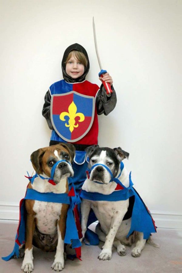essay on dog for kids essay on dog for kids