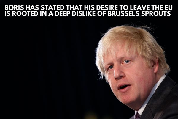 14 Interesting Facts About Boris Johnson You Probably Didn't Know ...