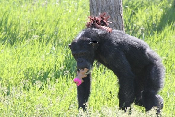 MAC's New Troll Dolls Collection Is Equal Parts Neon And Nostalgia