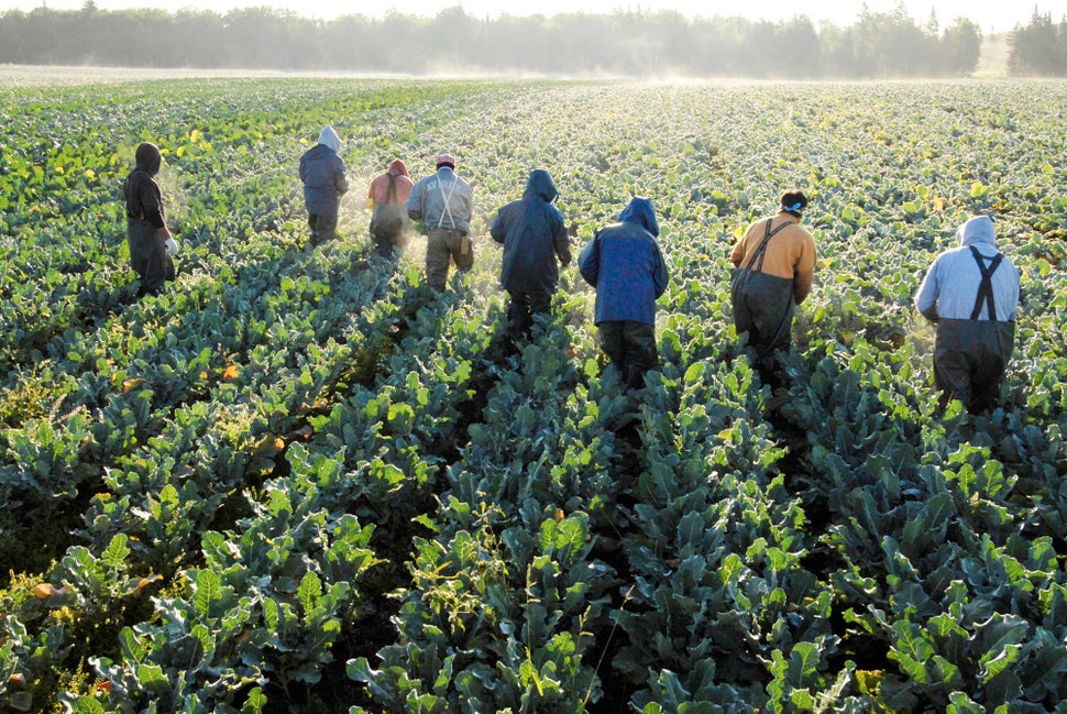 Riveting Photos Of Migrant Workers Remind Us Who Really Harvests Our