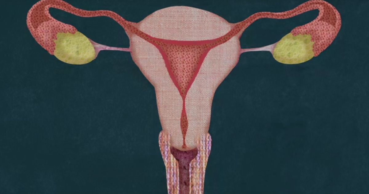 this-is-why-women-have-periods