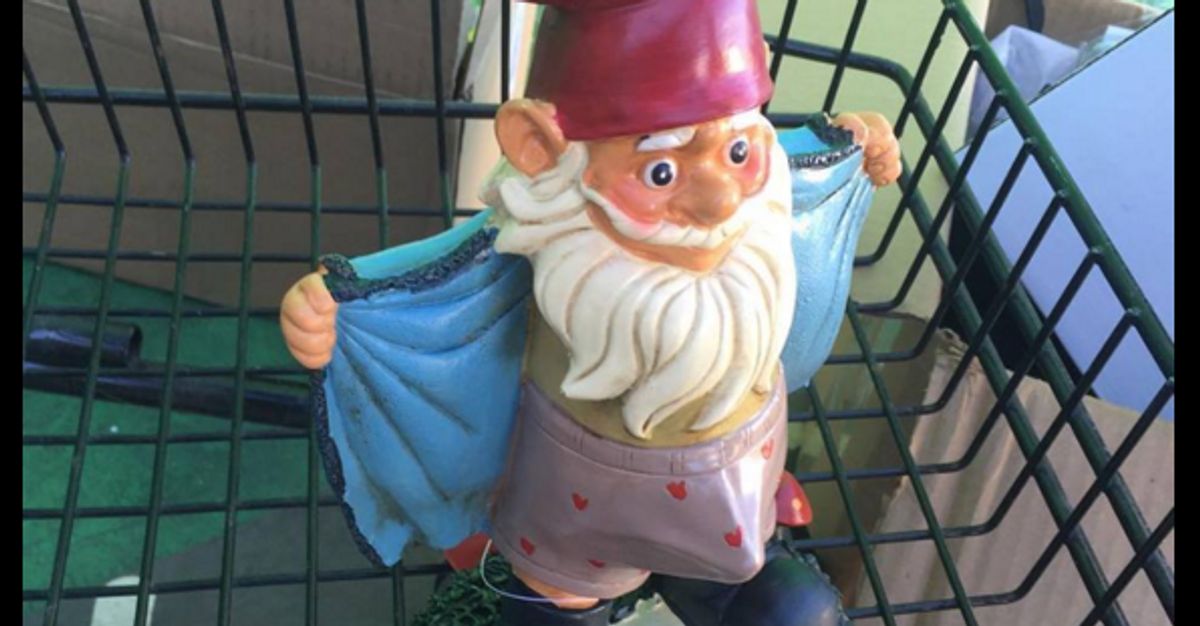 Garden Gnome Porn And Other Bizarre Genres Of Ero