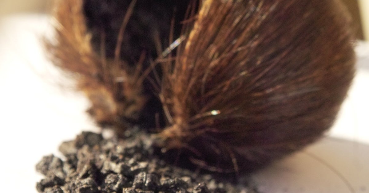 You Don't Even Want To Know Where Musk Comes From