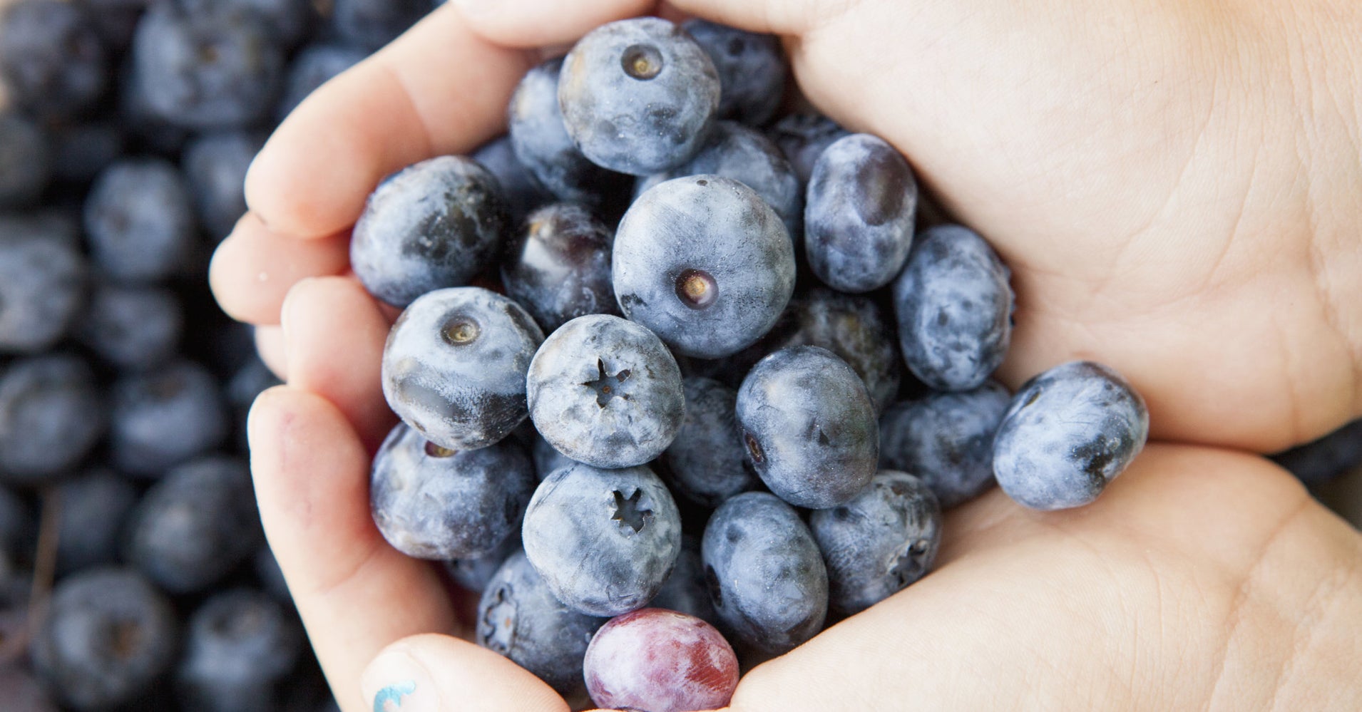 6 Ways To Add Blueberries To Your Beauty Routine (Besides Eating Them