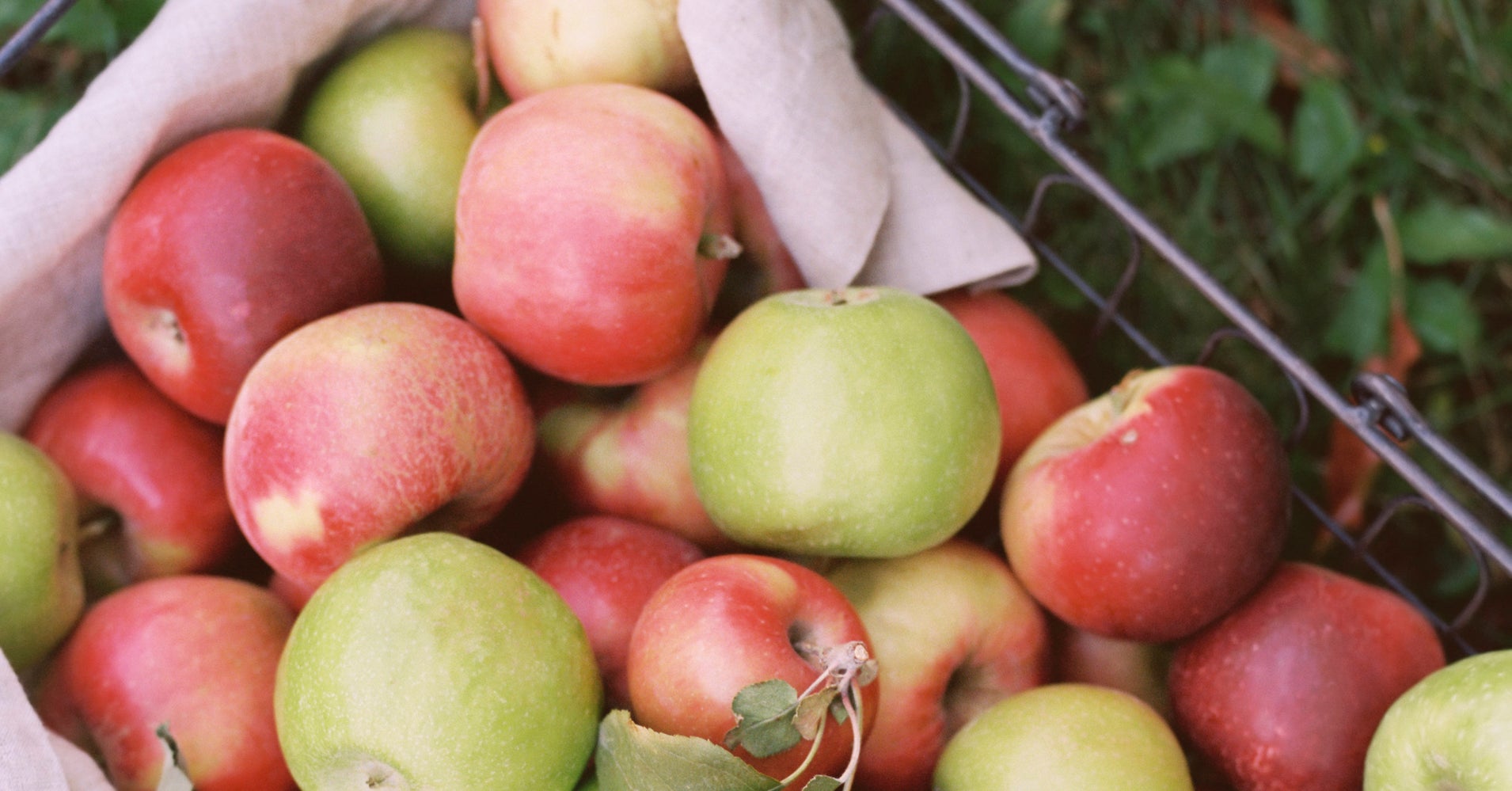 best places to go apple picking near orange county cbs los best places to go apple picking near orange county cbs los
