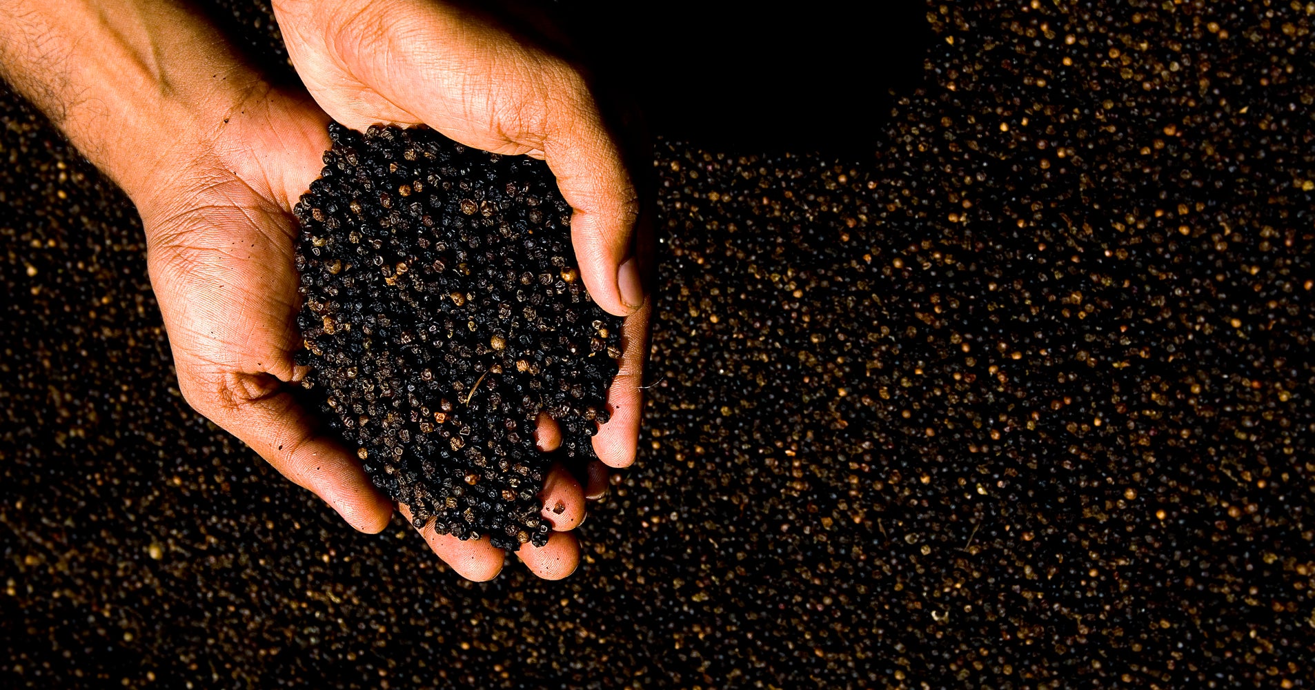 Bet You Didn't Know Where Peppercorns Come From HuffPost