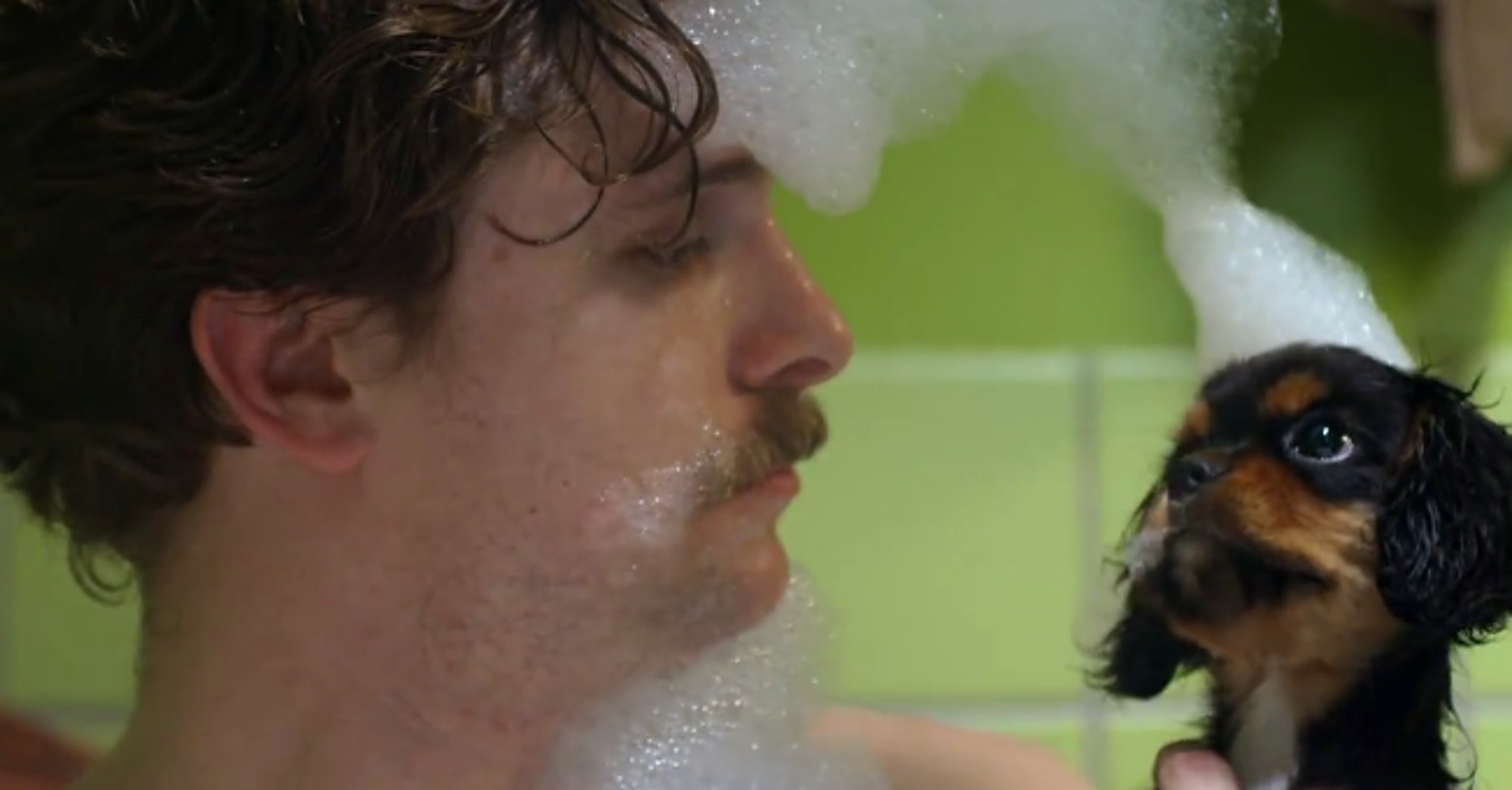 Video Perfectly Shows What Happens When A Dog Owner Goes On A First