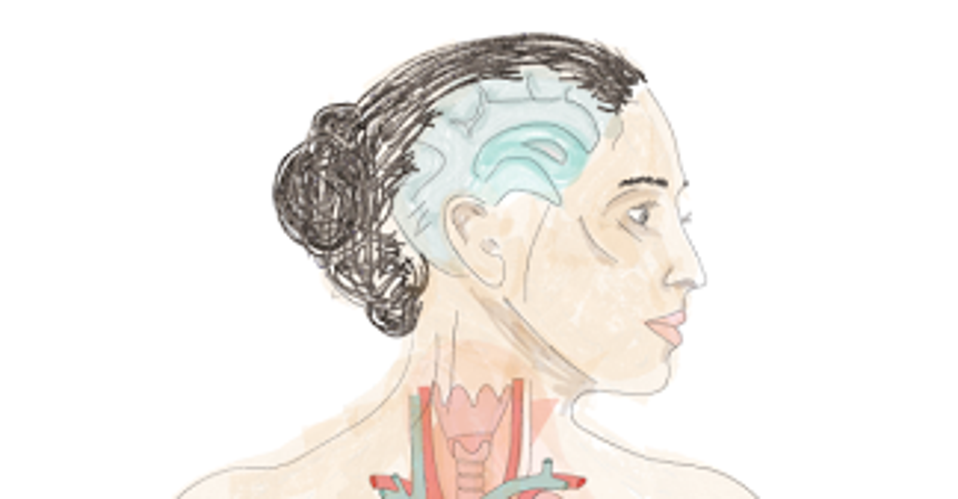 12 Amazing Things We Learned About The Human Body In 2015 HuffPost