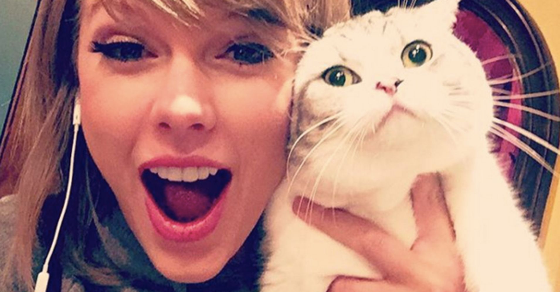 2015 As Reviewed By Taylor Swifts Cats Huffpost 