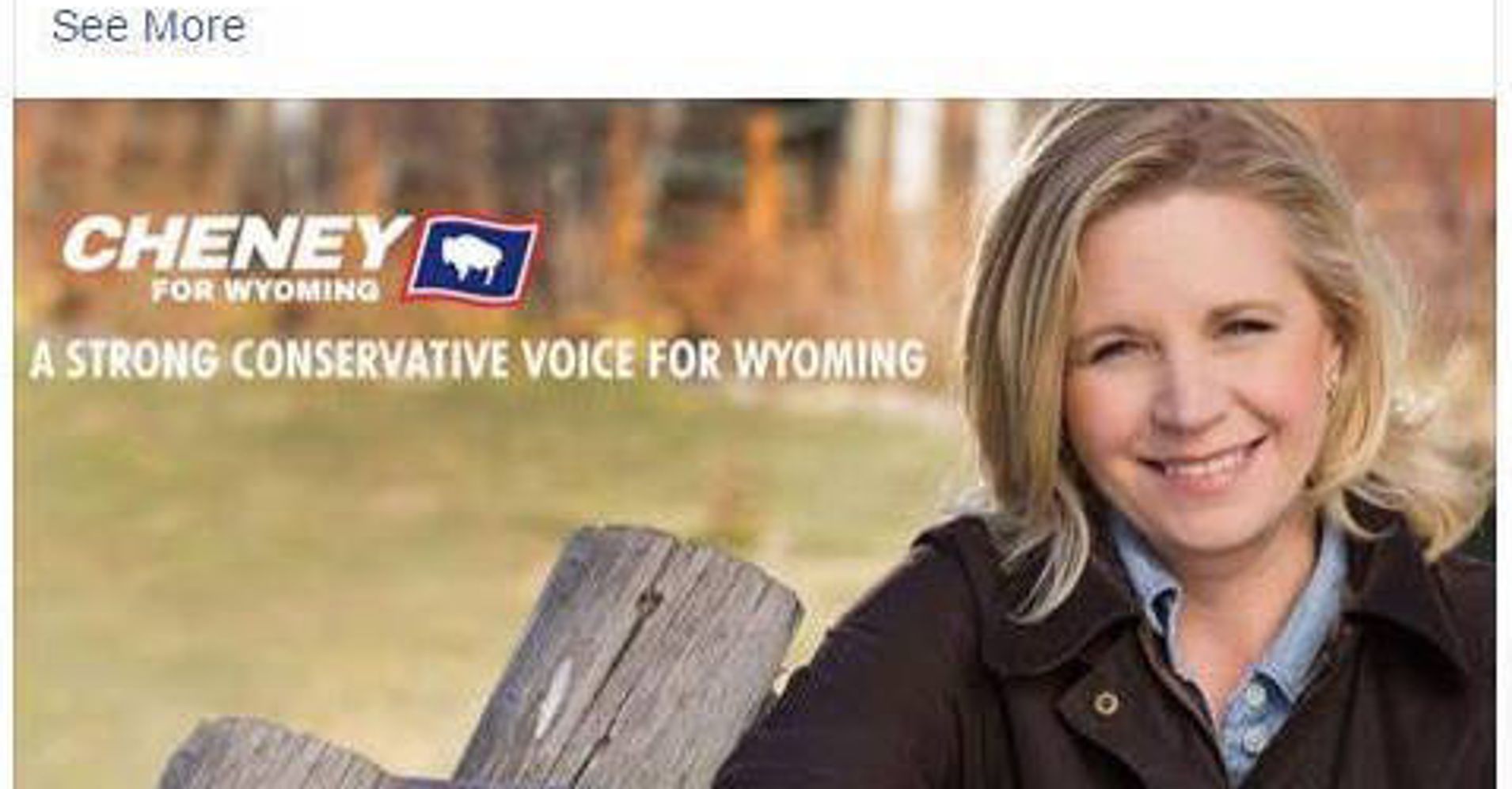 Liz Cheney Announces Shes Running For Congress In Wyoming From Virginia Huffpost 