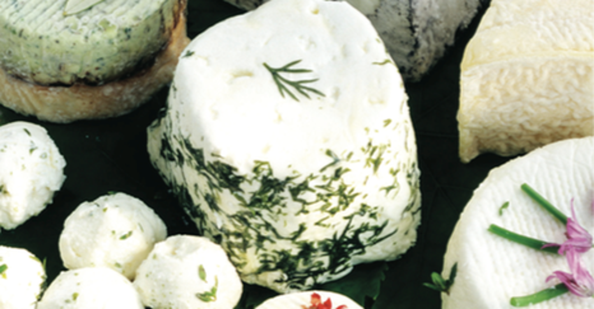 An Easy Guide To Italian Cheeses HuffPost