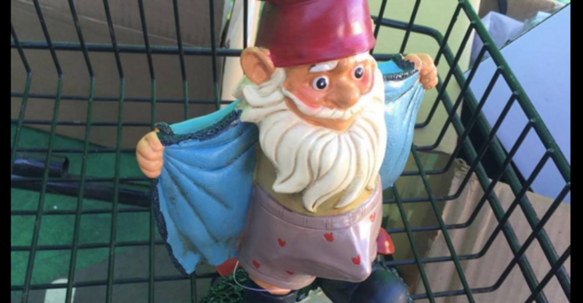 Garden Gnome Porn And Other Bizarre Genres Of Erotica HuffPost