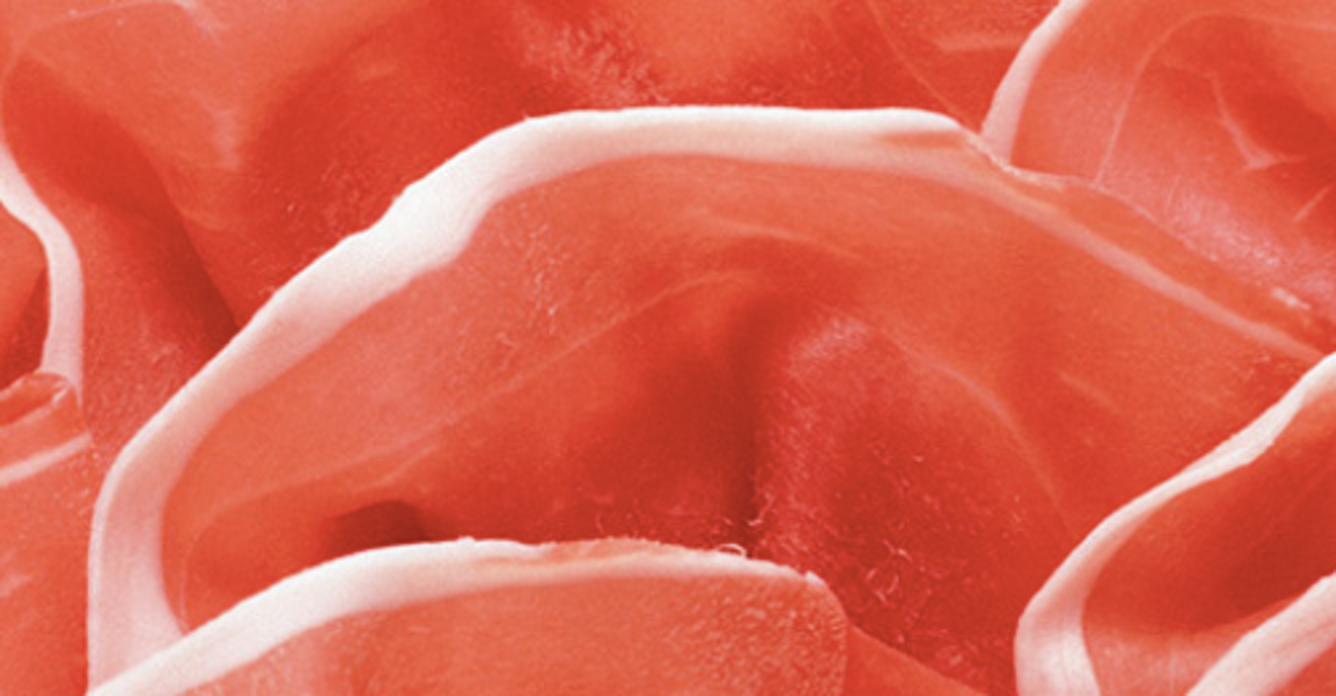 Everything You Need To Know About Italian Prosciutto HuffPost