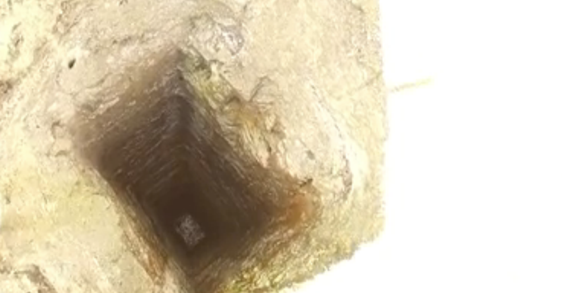 The 300Foot Deep Chasm In This Backyard Will Give You Nightmares