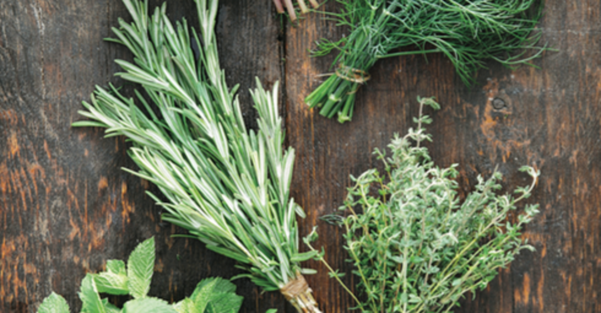 3 Herbs Italian Food Lovers Should Have In Their Home HuffPost