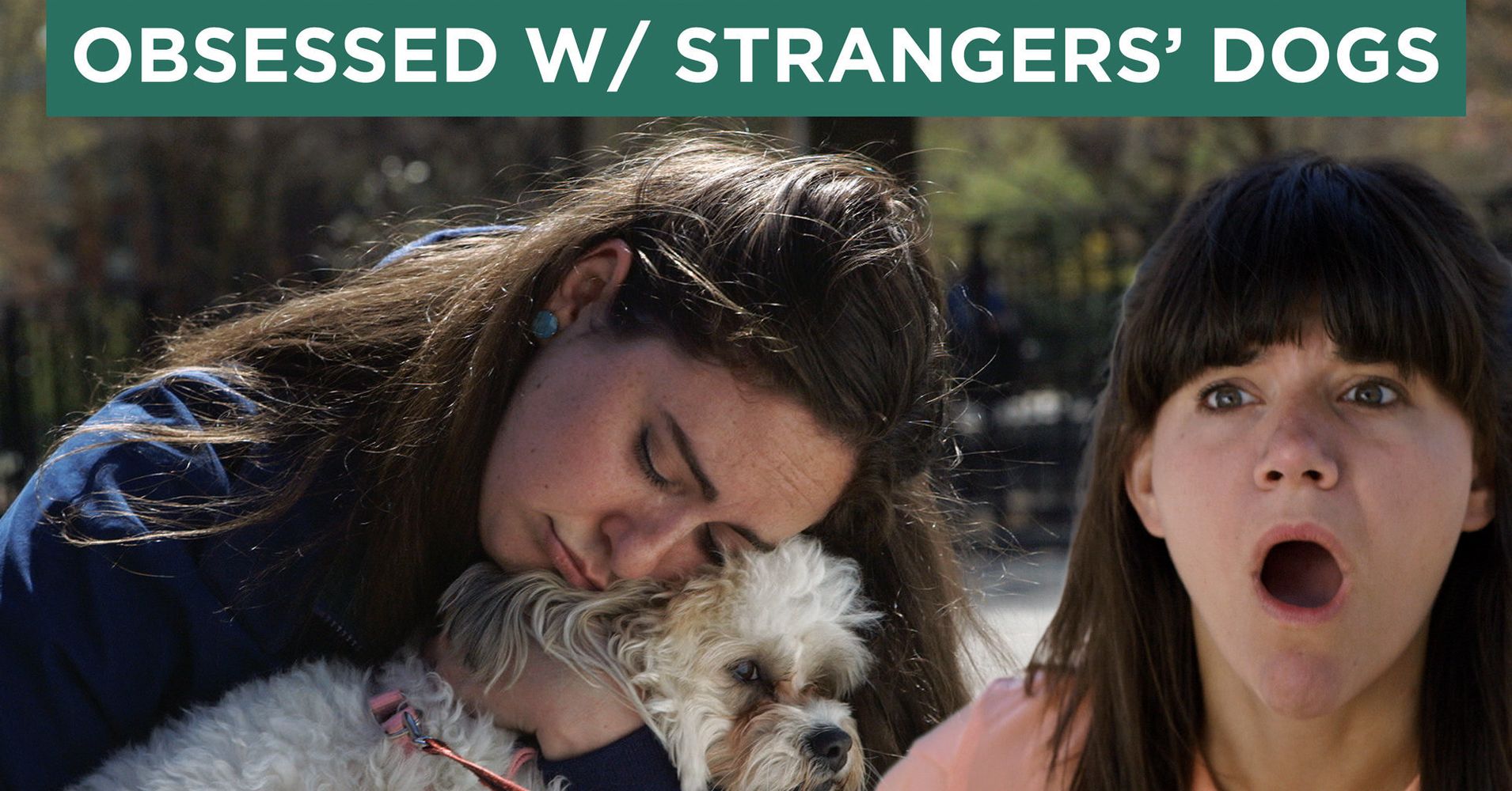 This Is Why You Don't Let Strangers Pet Your Dog | HuffPost