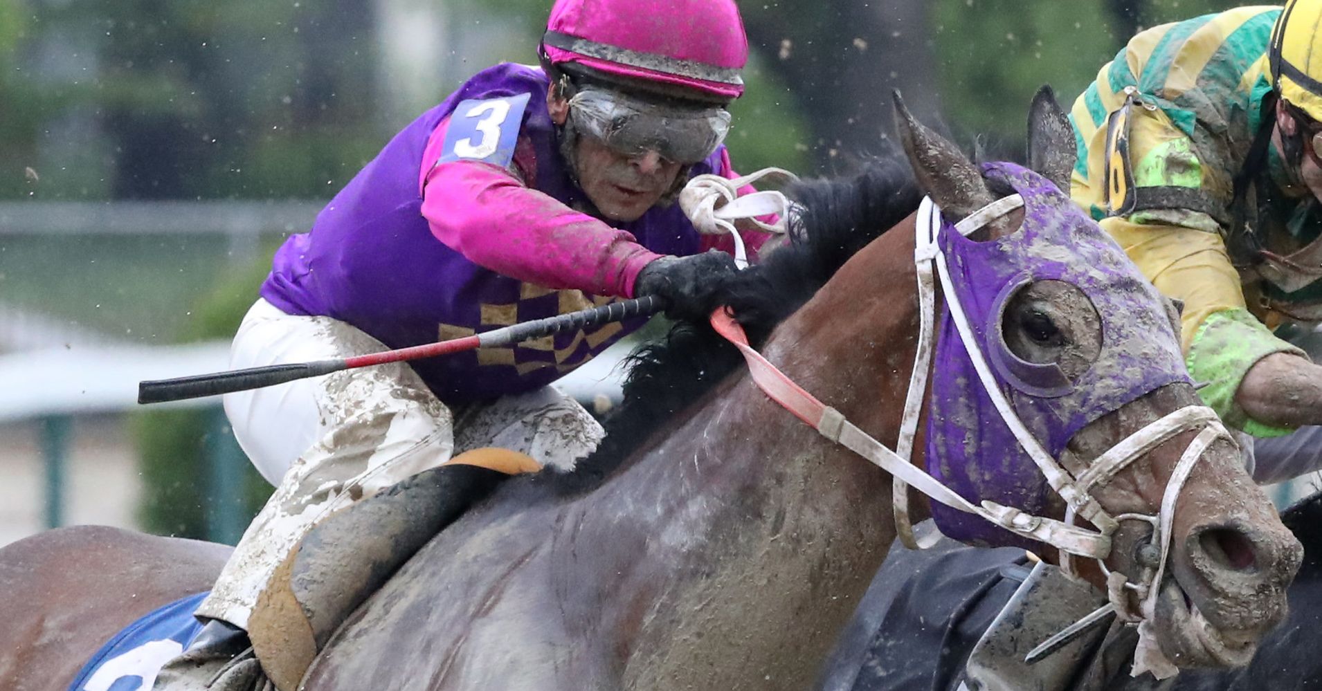 Preakness Tragedy 2 Horses Die In First 4 Races HuffPost