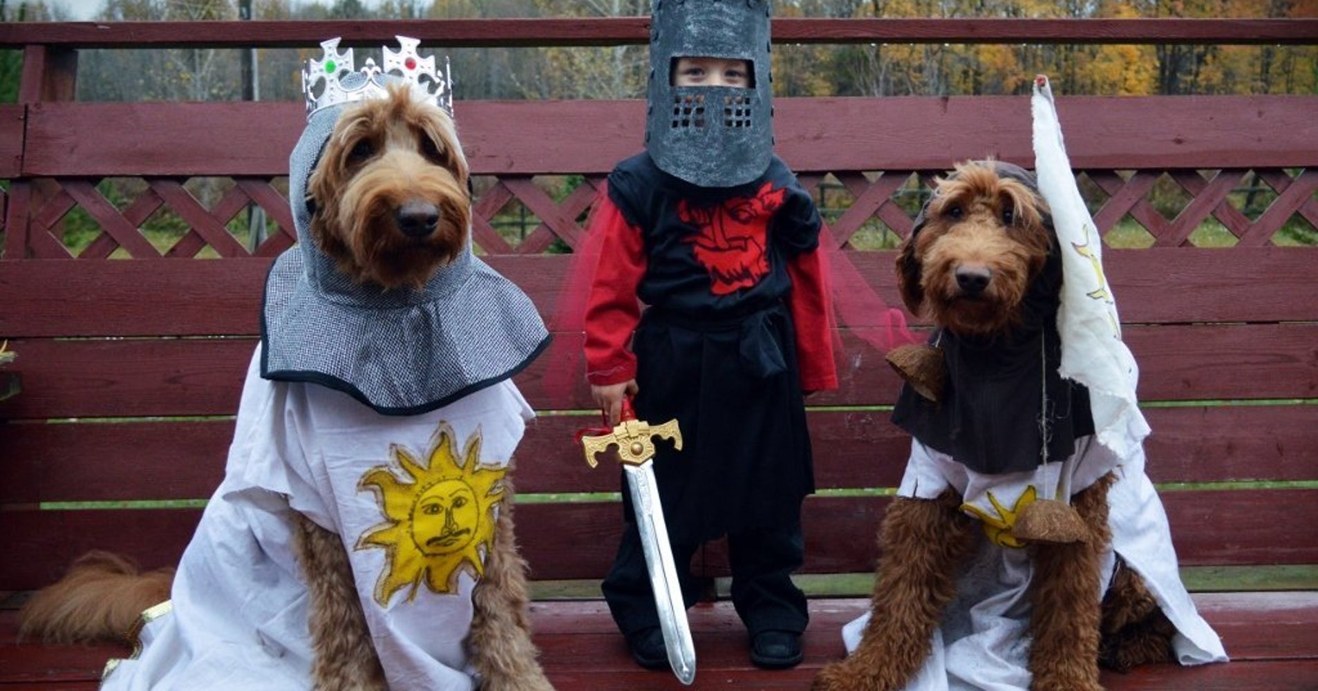 30 Perfect Halloween Costumes For Kid And Dog BFFs HuffPost