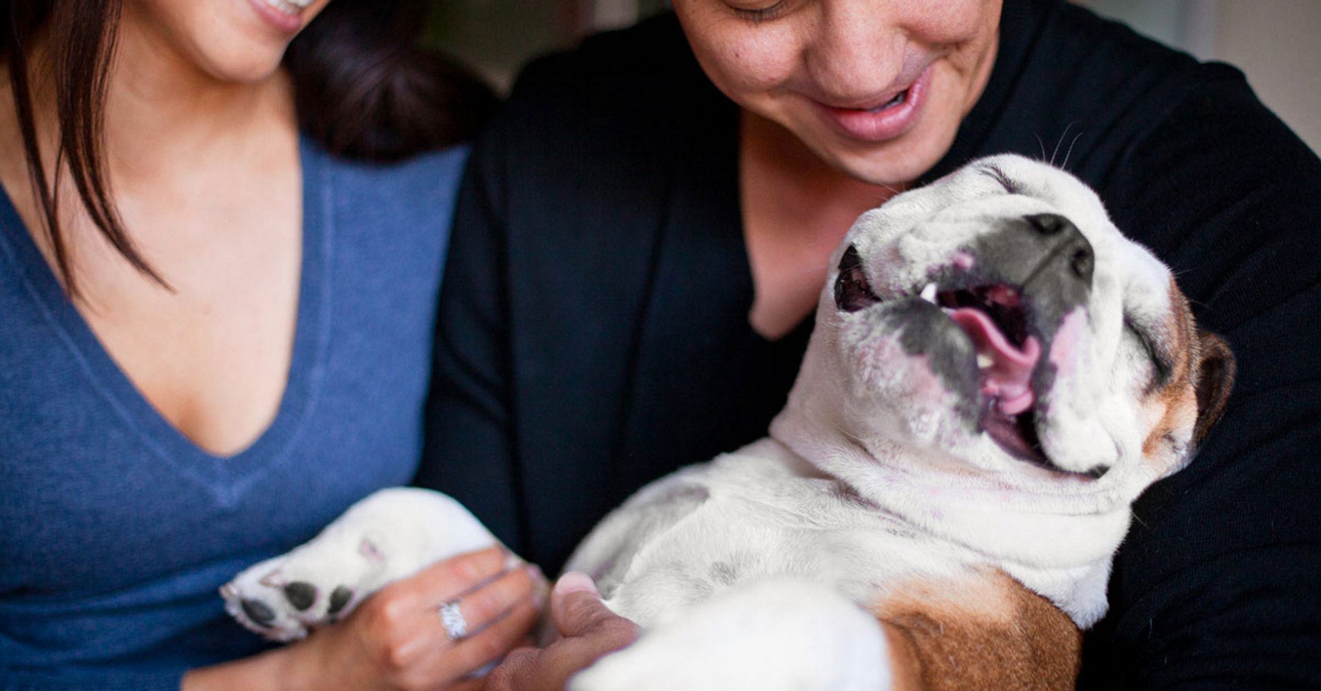 These Impossibly Sweet Photos Capture The Bond Between Dogs And Their