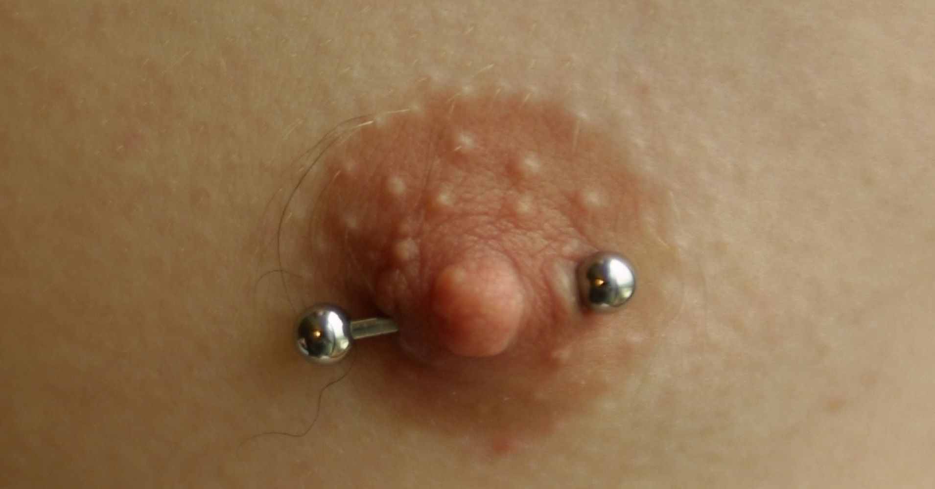 Close Up Of Nipples 93