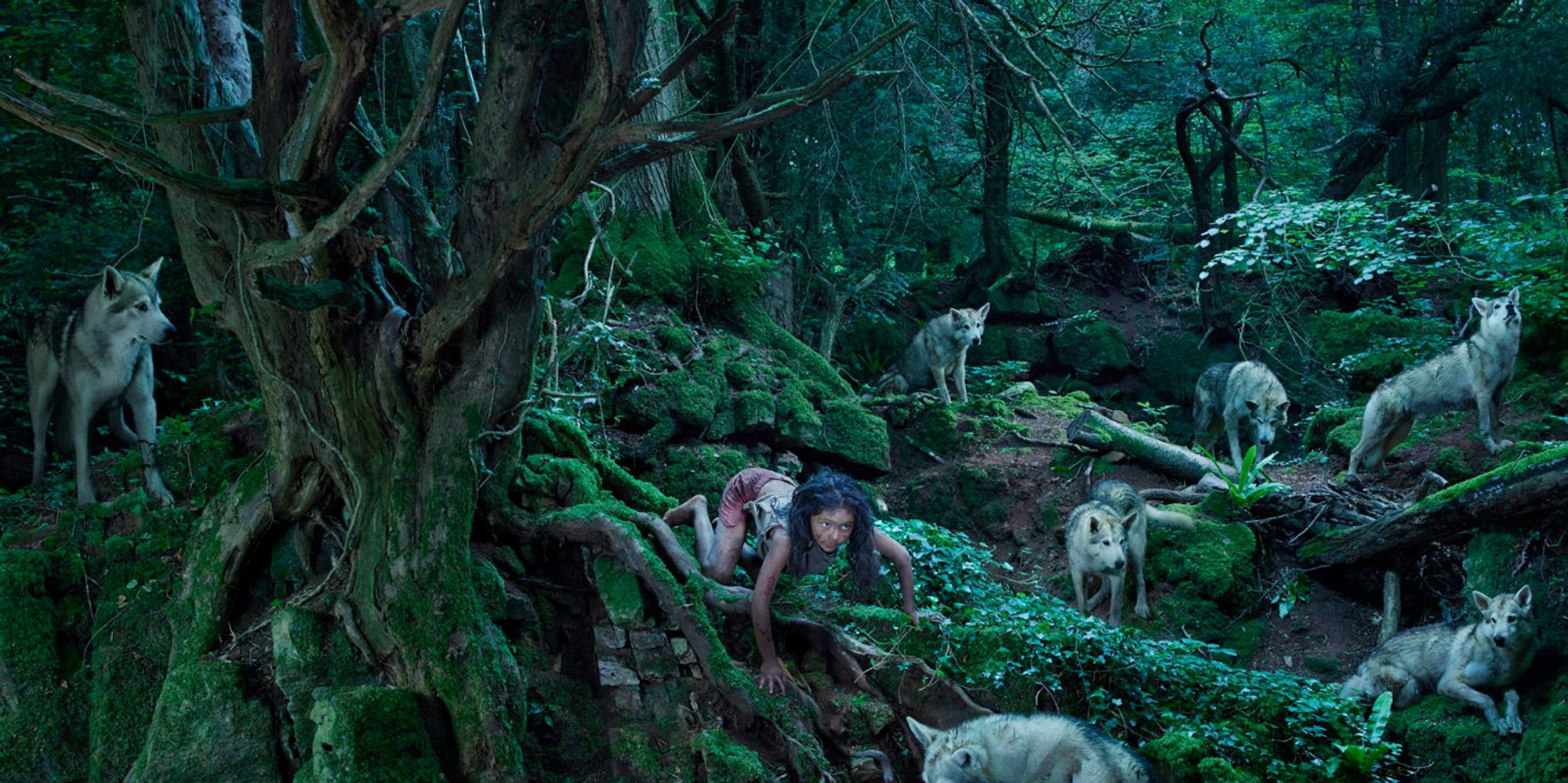 Photographer Brings Unbelievable Stories Of Feral Children To Life ...