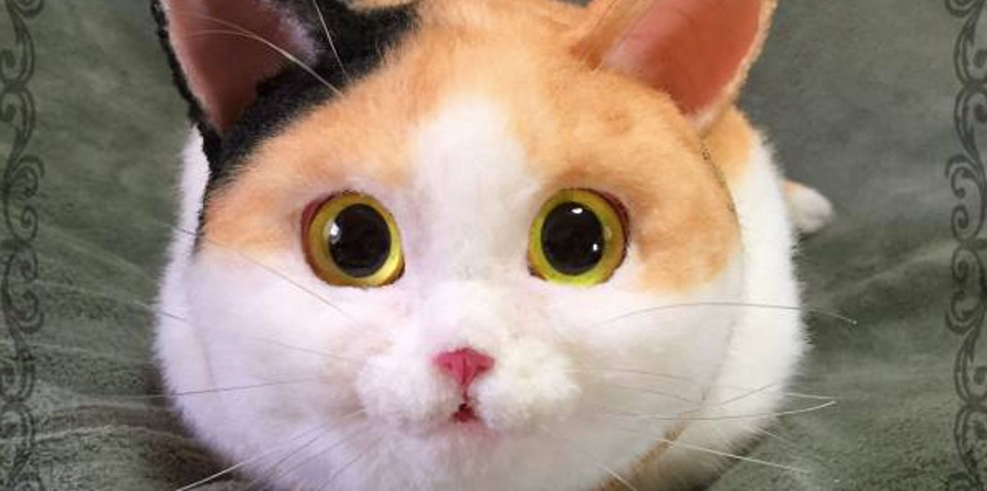 Lifelike Cat Purses Are A Dream Come True Or Your Worst Nightmare The