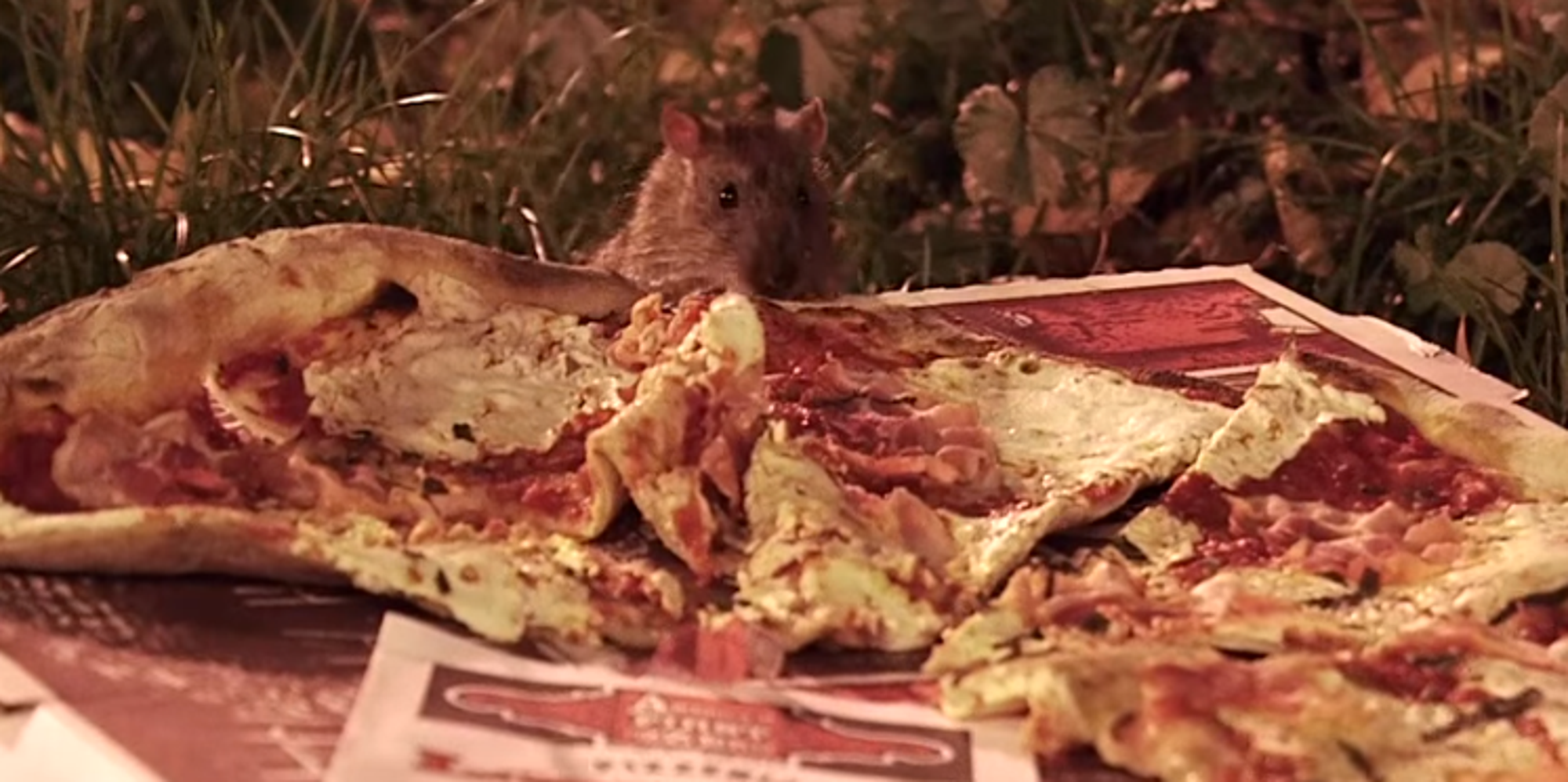 Watch Pizza Rats Decide Which Is New York's Best Pie The Huffington Post