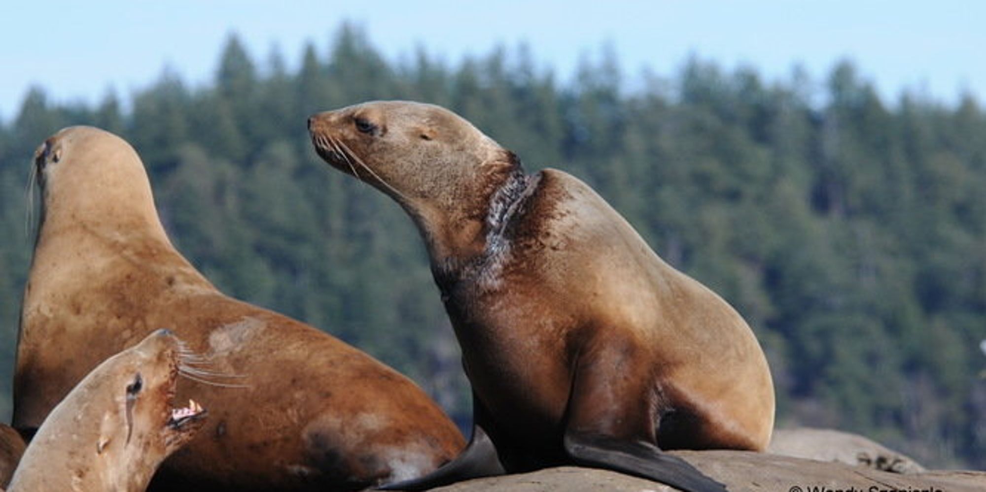 there-s-rage-inducing-new-data-on-the-amount-of-plastic-in-the-ocean