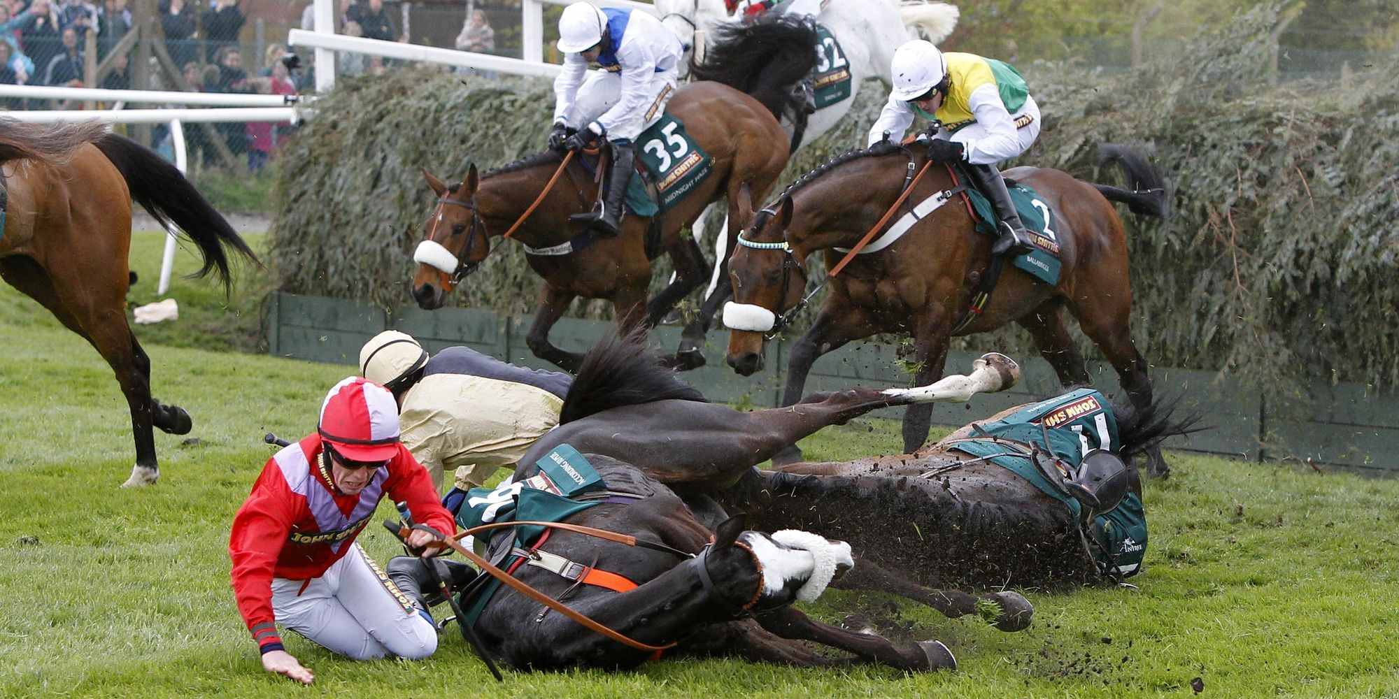 Grand National Horse Deaths At Aintree Racecourse Revealed In New