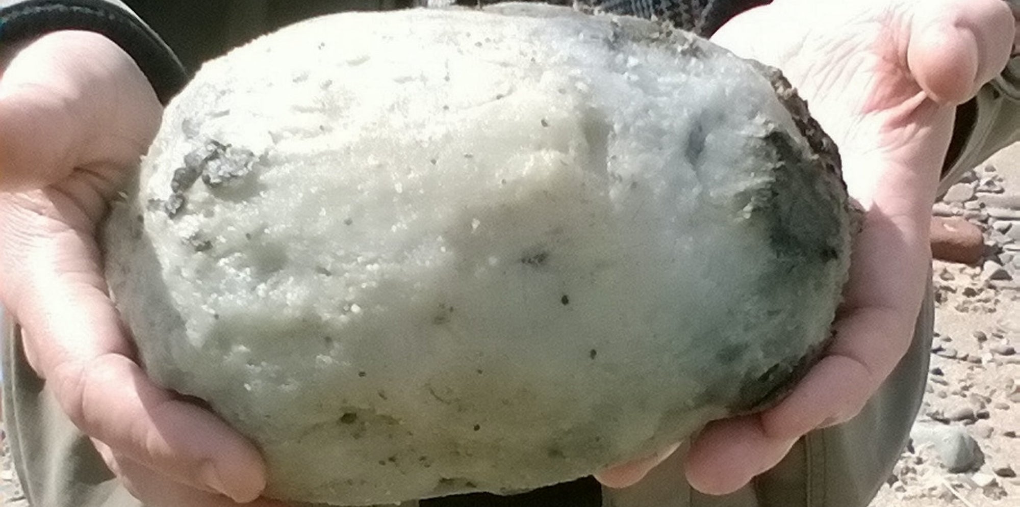 Finding Out How Much This Whale 'Vomit' Is Worth Will Make You Sick ...