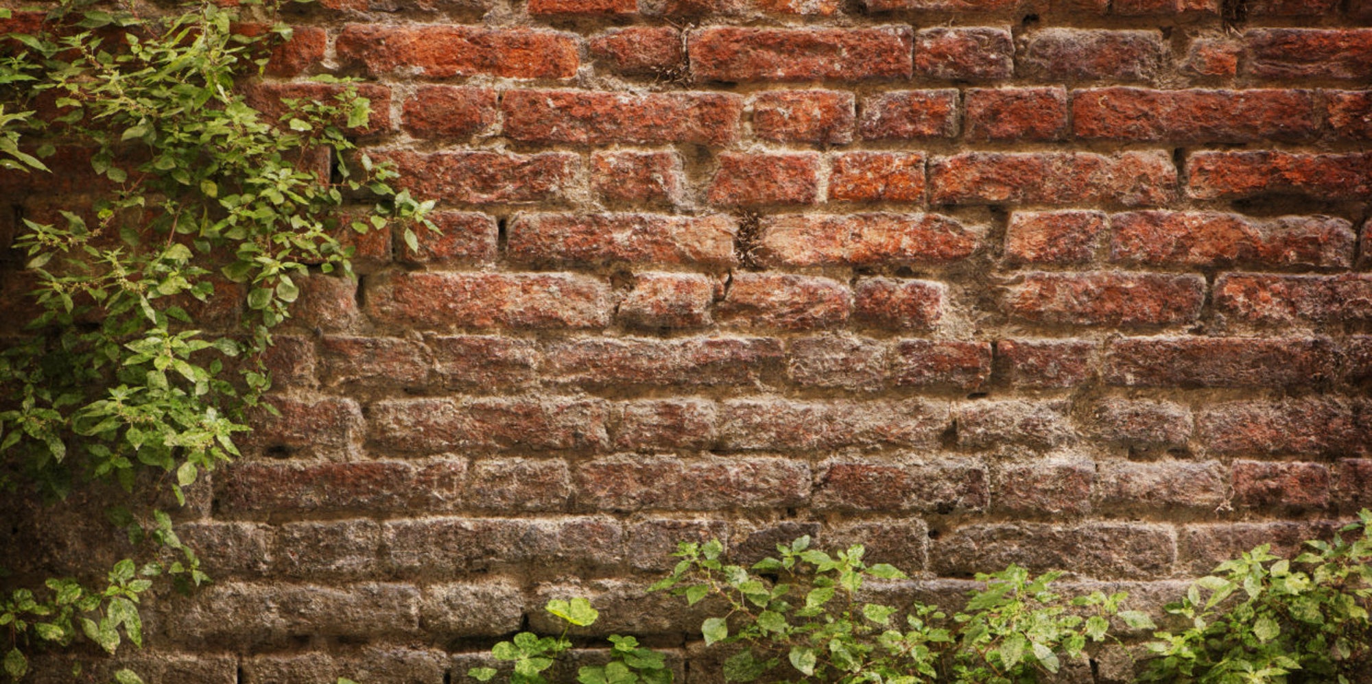 Brick Wall Optical Illusion Is Driving Everyone... You Know The Score