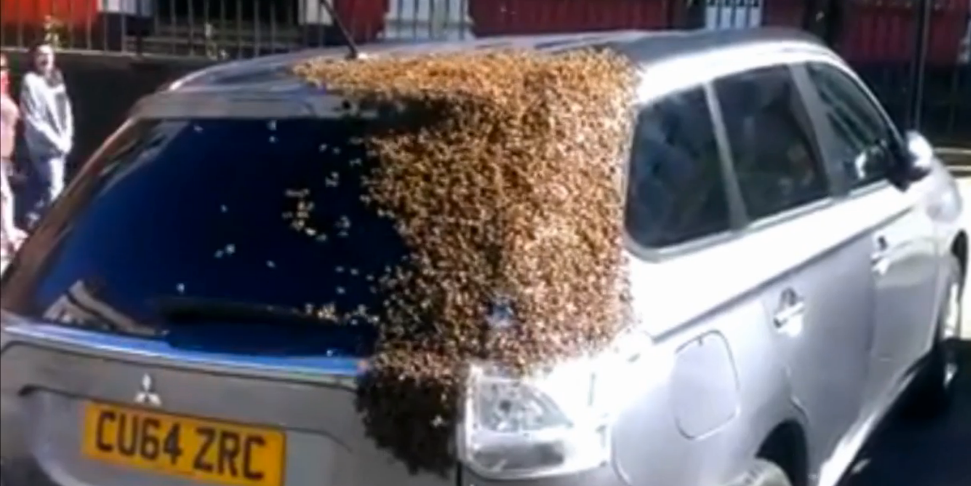 20,000 Bees Would Not Leave This Woman's Car Alone The Huffington Post