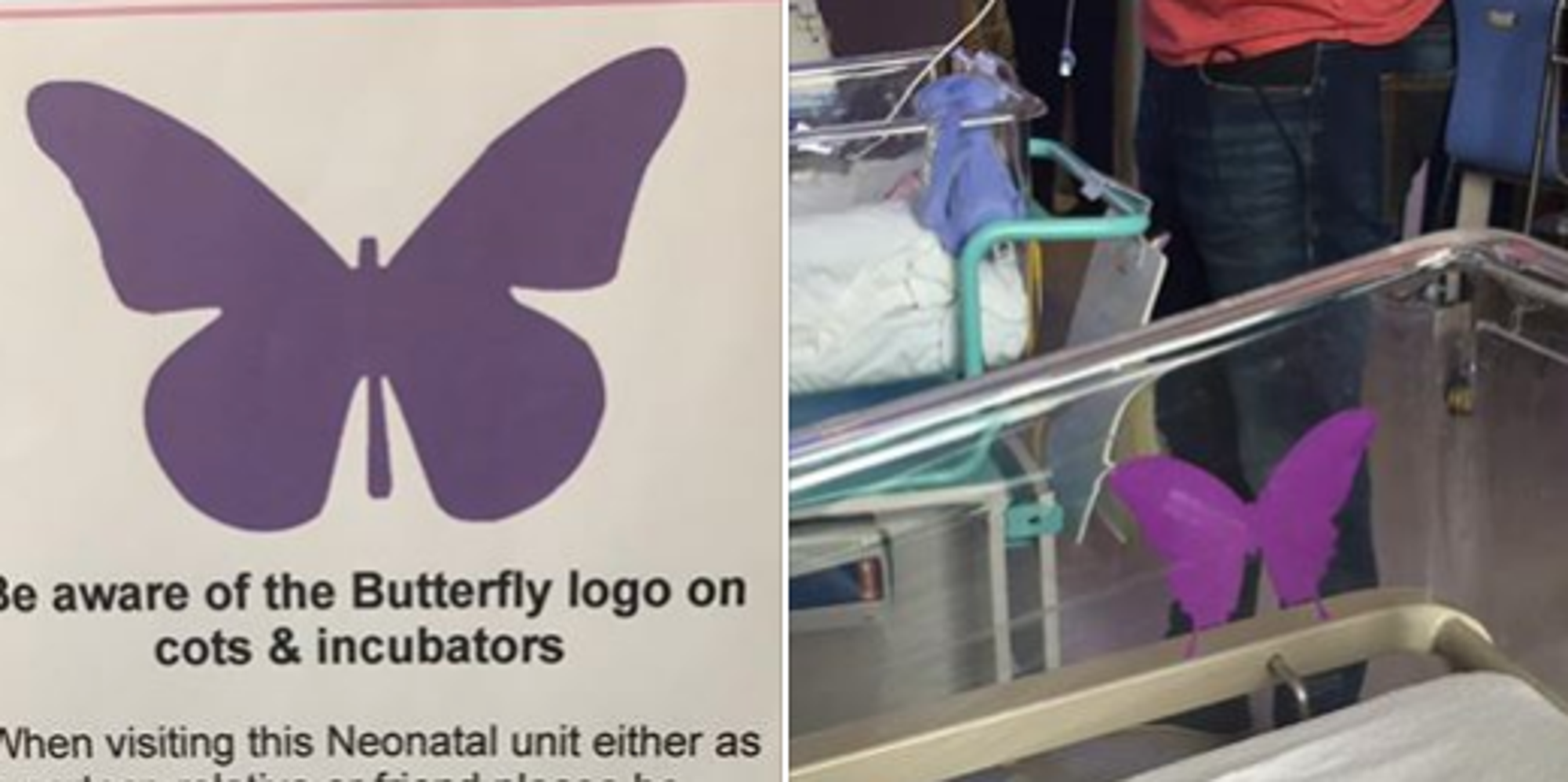 Mum Spearheads Purple Butterfly Initiative In Neonatal Units To Alert Visitors Of Baby Loss With