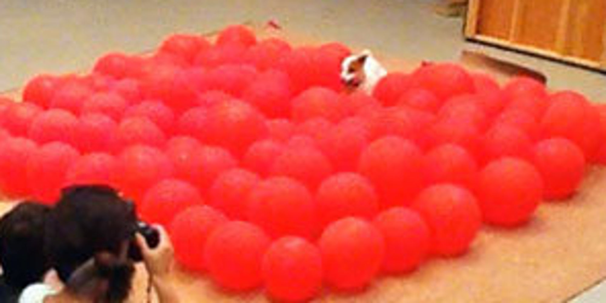 Happiest Dog In The World Pops 100 Balloons, Breaks Guinness World