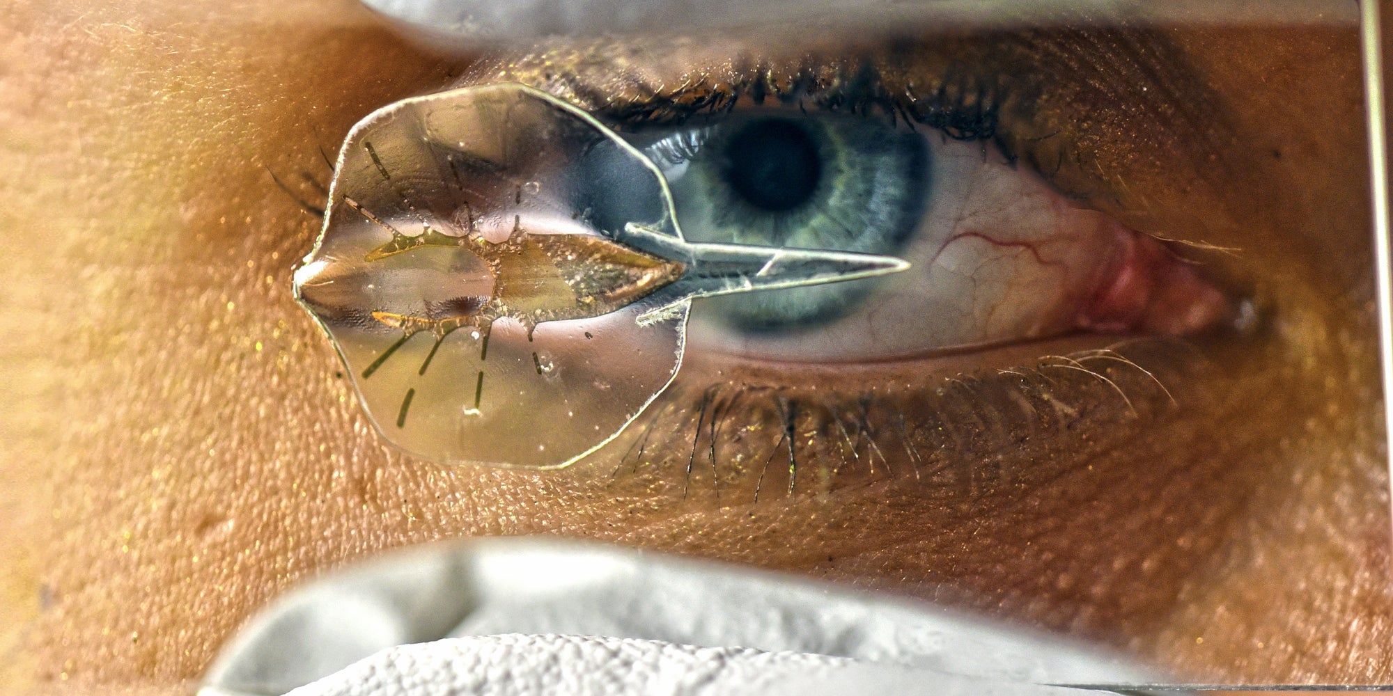 This Tiny Robot Stingray Made From Gold And Rat Hearts Can Also Swim