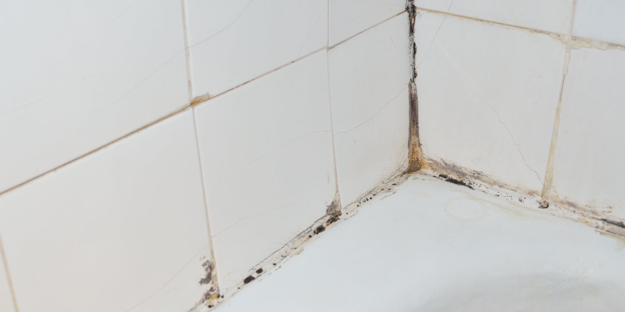 So THAT'S How To Tell If There's Mold In Your Home The Huffington Post
