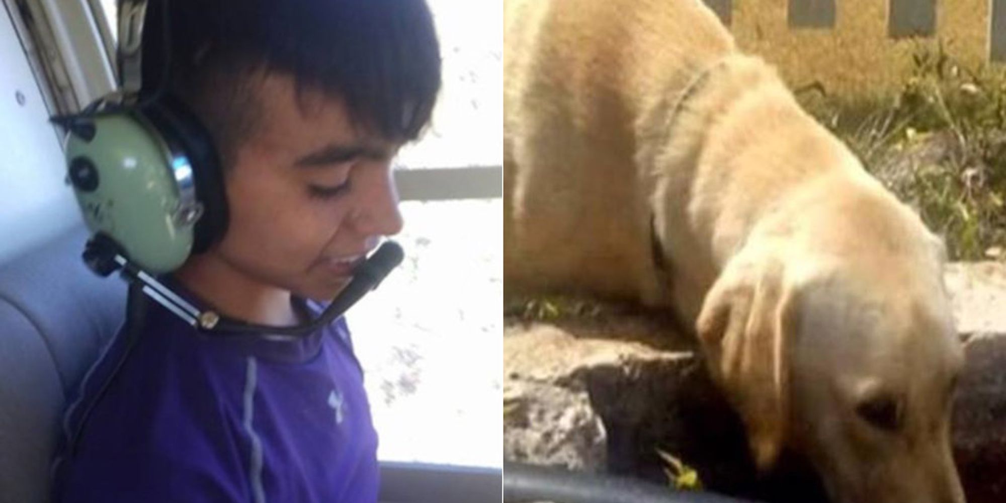 Heroic Dog Saves Life Of Boy Stranded In Sierra Madre Mountains | The ...