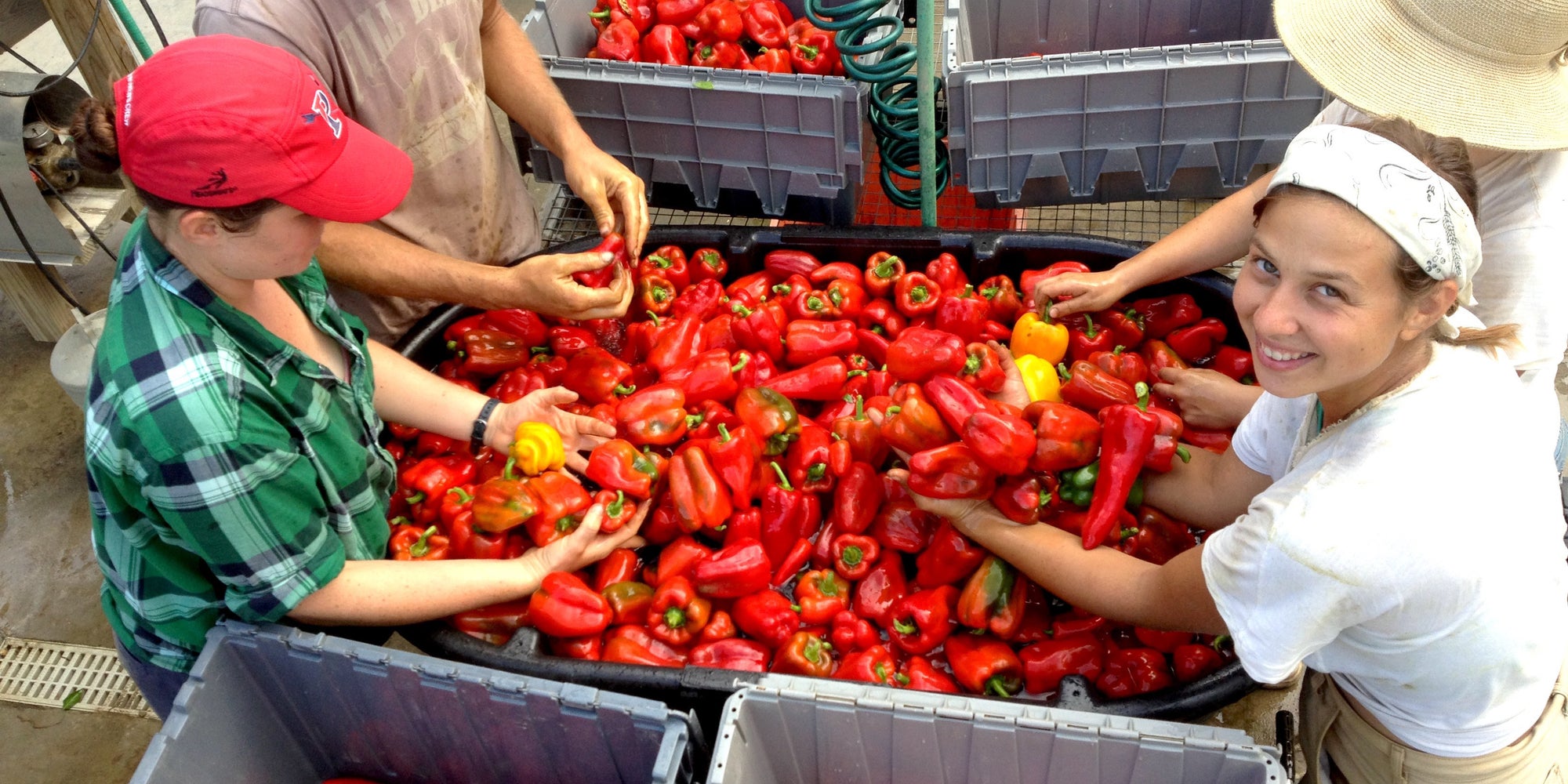This Bible-Era Solution For Saving Food Is Making A Comeback - Huffington Post