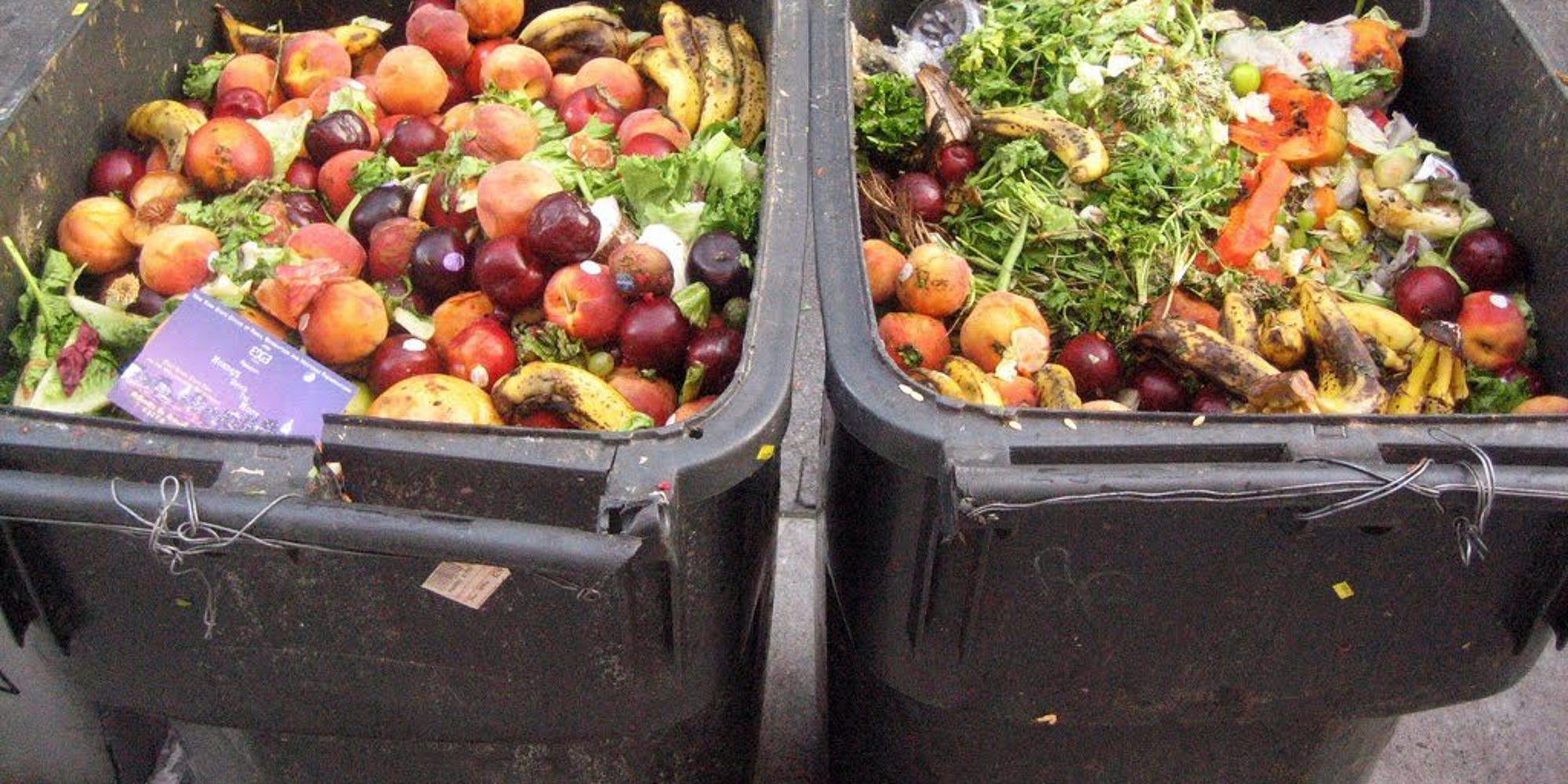 Farm To Landfill: The Cost Of Food Waste In America - Huffington Post