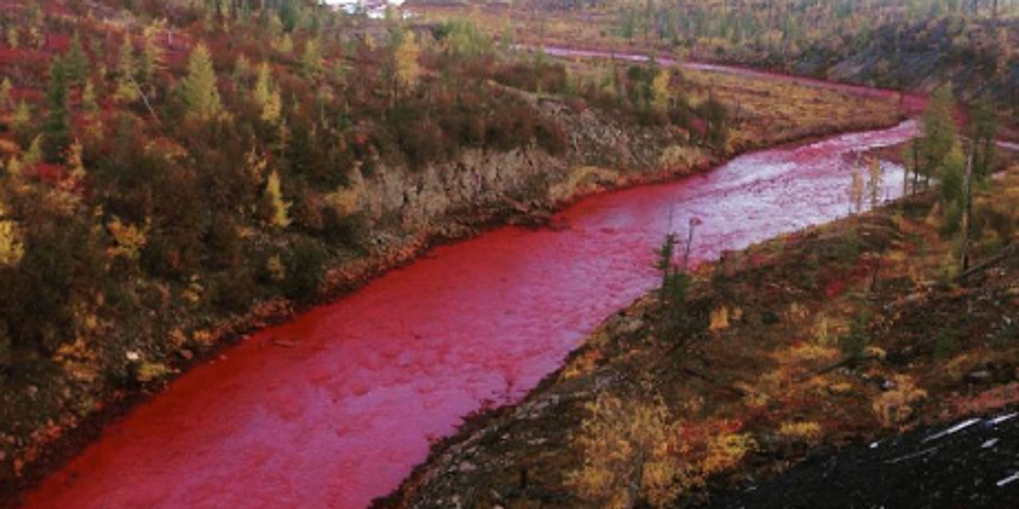 Russia’s Daldykan River Turns Blood Red HuffPost UK