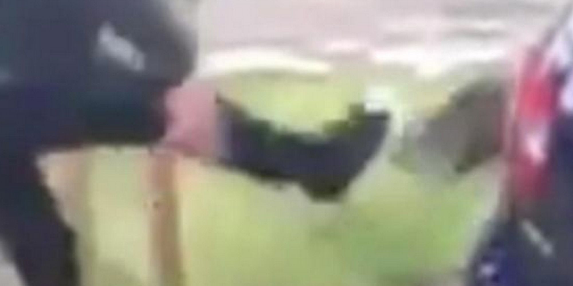 Cat Kicking Snapchat Video Labelled Despicable Act Of Pure Evil As Teen Arrested Huffpost Uk
