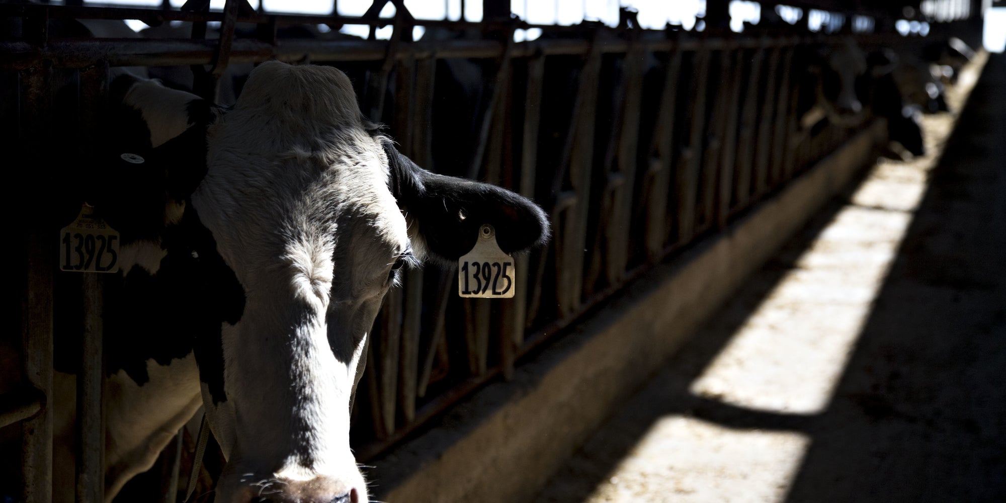 Fixing Our Food System Shouldn't Be A Partisan Issue - Huffington Post