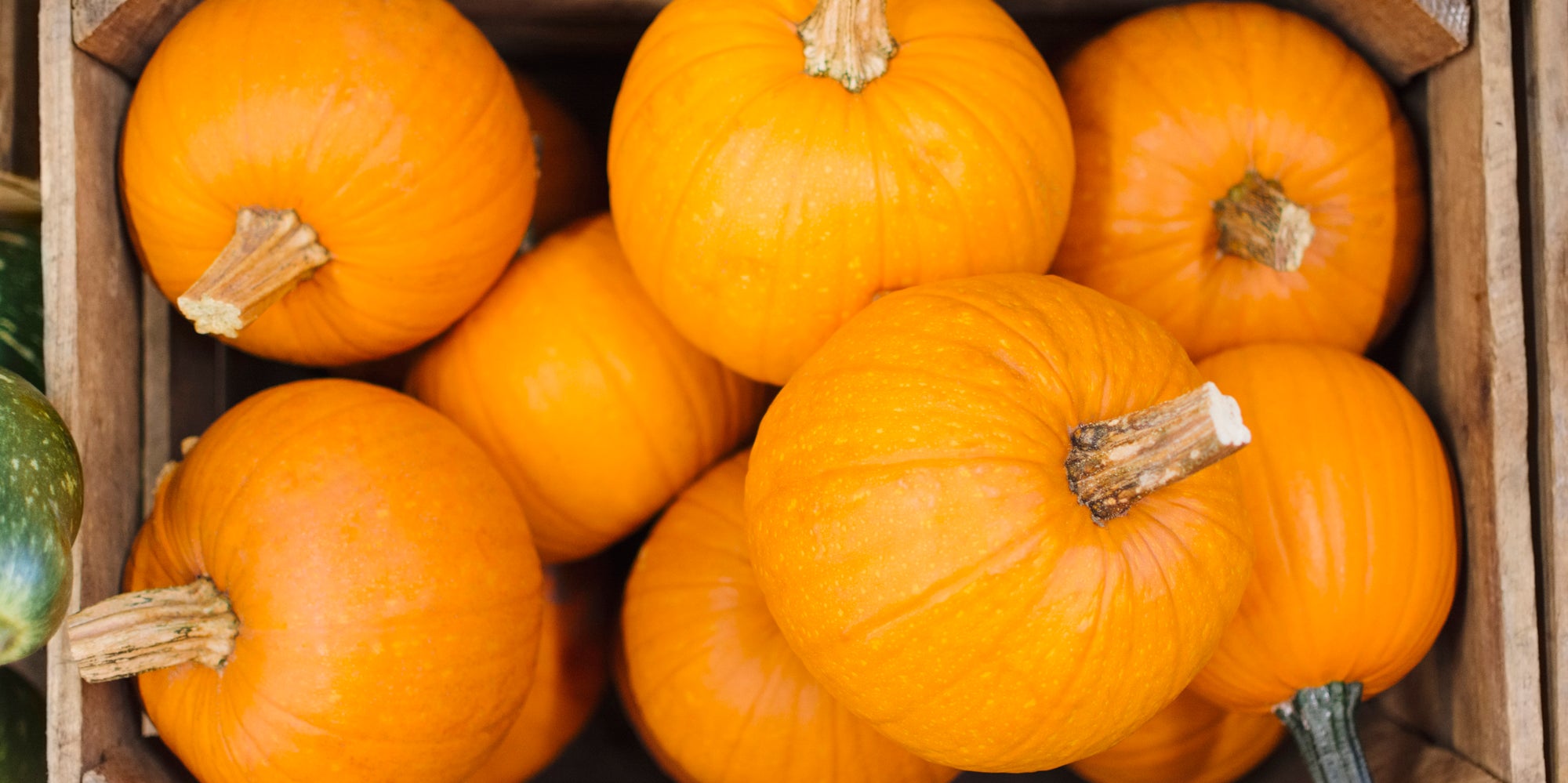 Turns Out Pumpkins Are Actually A Fruit, And Humans Know Nothing The
