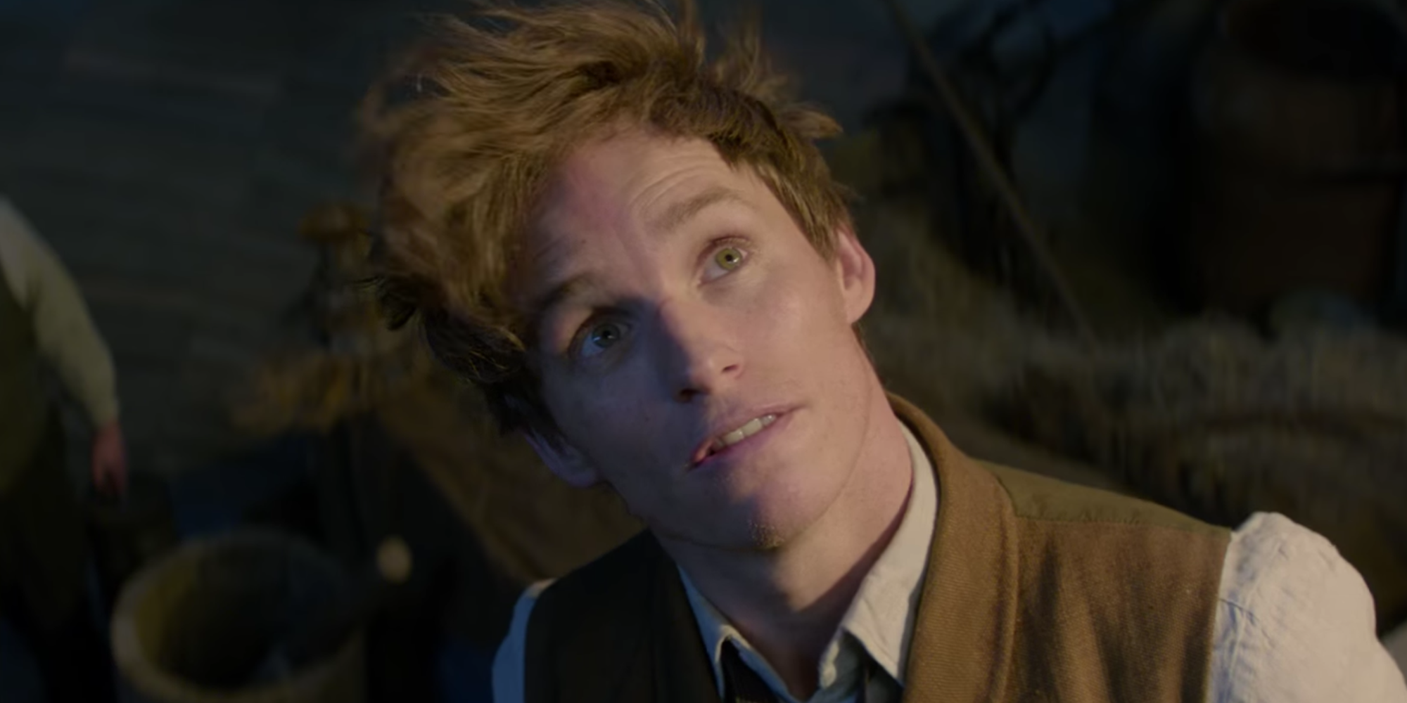 'Fantastic Beasts And Where To Find Them' Bewitches At The Box Office With $75 Million Debut