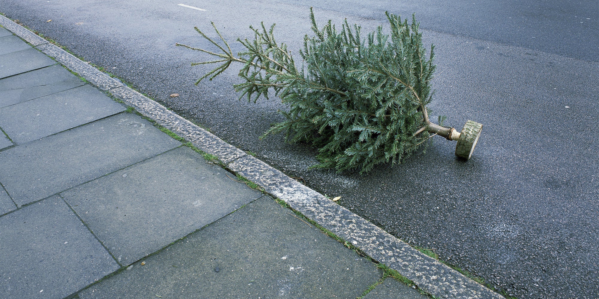 when should you take your christmas tree and decorations when should you take your christmas tree and decorations