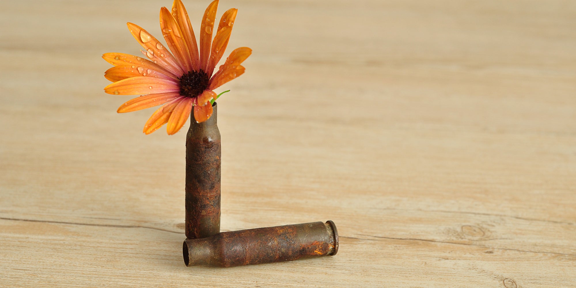 Uncle Sam Wants You To Make Bullets That Turn Into Seeds The