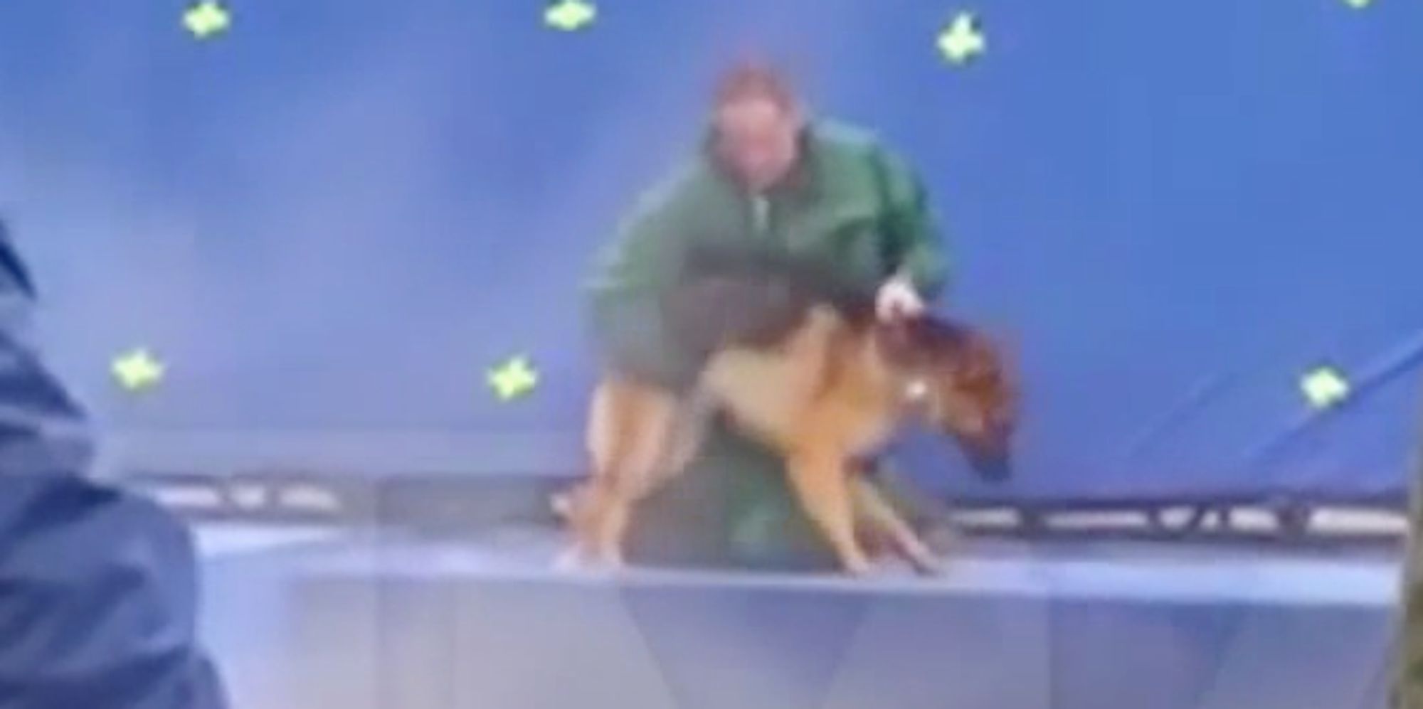 Leaked Video From 'A Dog's Purpose' Set Calls Film's Treatment Of Animals Into Question (UPDATE) - Huffington Post