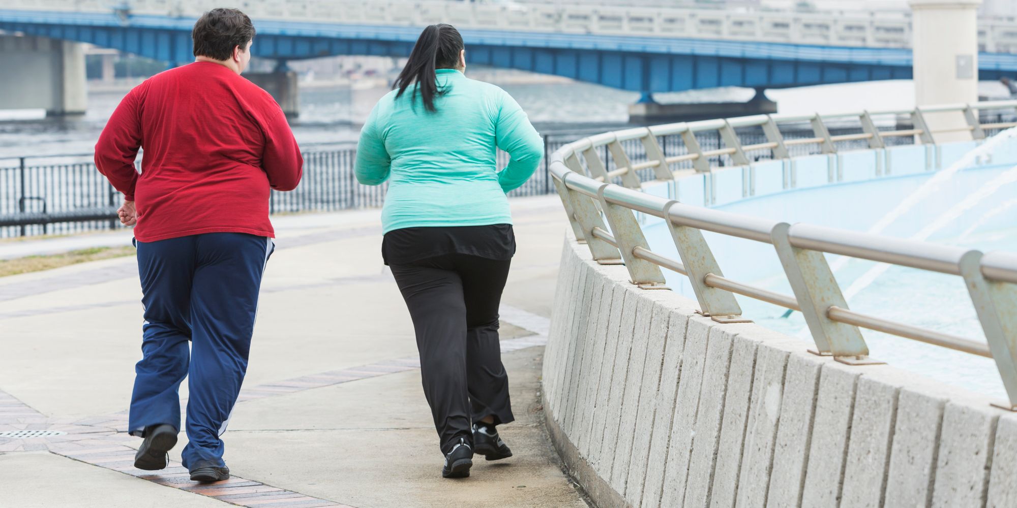 obese overweight struggles suggests