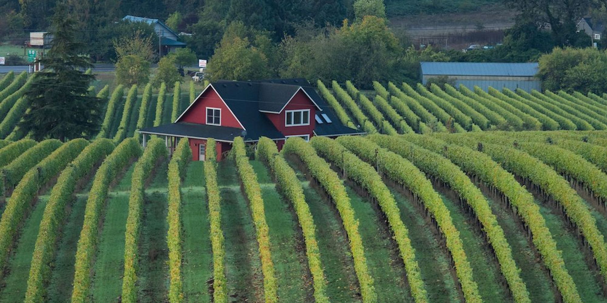PINOT FIRST AND FOREVER AT OREGON'S SOKOL BLOSSER By John Mariani - Huffington Post