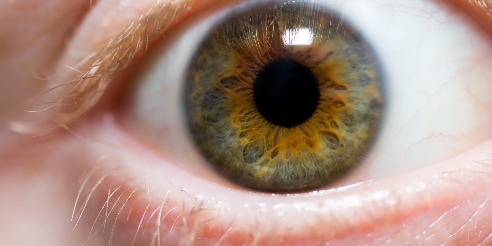 FACT CHECK: Lash Doubt